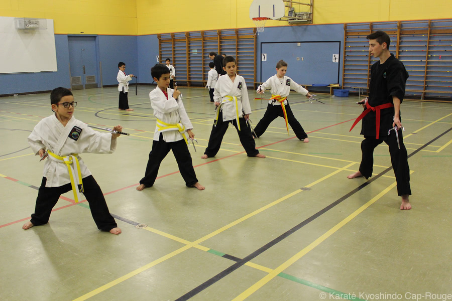 Cours de kobudo