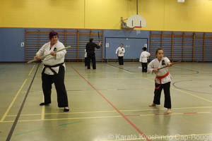 Cours de kobudo