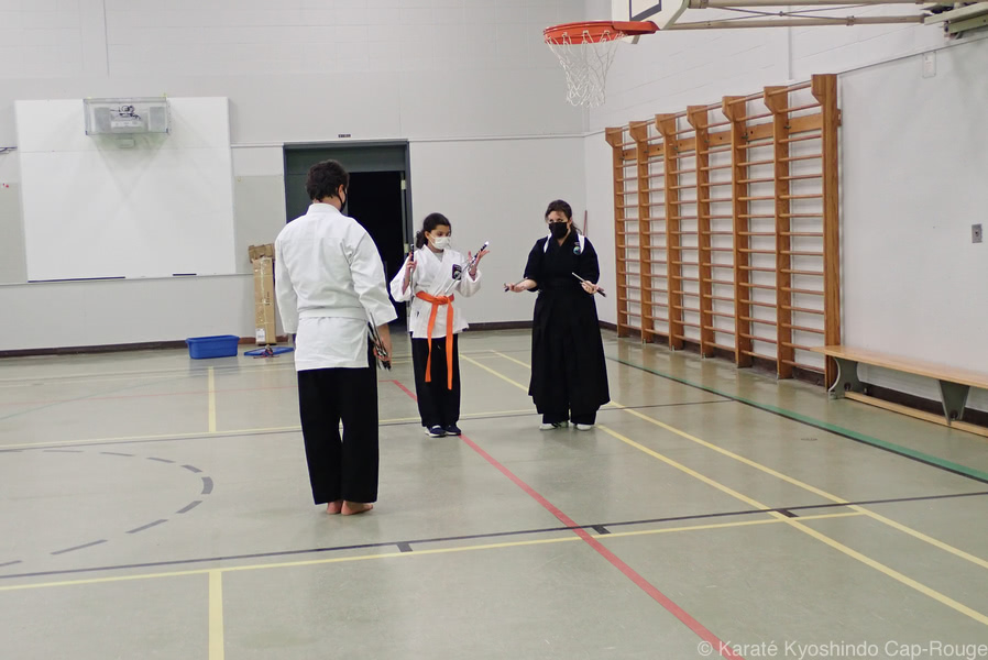 Cours d'initiation au kobudo